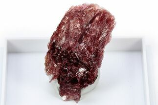 Lustrous Red Alurgite Crystal Cluster - South Africa #305478