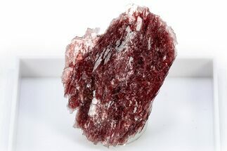 Lustrous Red Alurgite Crystal Cluster - South Africa #305479