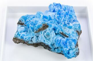 Vibrant Blue Botryoidal Gearksutite and Cupro-Allophane - China #305677