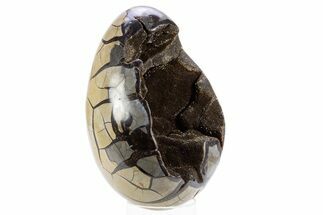 Septarian Dragon Egg Geode - Black Crystals #305835