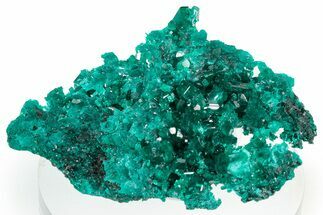 Lustrous Dioptase Crystal Cluster - Congo #306090