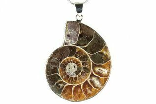 Jewelry With Fossils For Sale