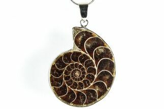 Fossil Ammonite Pendant - Million Years Old #306516