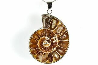 Fossil Ammonite Pendant - Million Years Old #306518