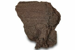 Permineralized Wood Covered In Sparkling Quartz - Germany #306973