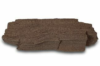 Permineralized Wood Covered In Sparkling Quartz - Germany #306979