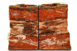 Tall, Arizona Petrified Wood Bookends - Brick Red #307171