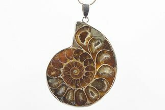 Fossil Ammonite Pendant - Million Years Old #306476