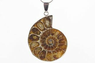 Fossil Ammonite Pendant - Million Years Old #306394