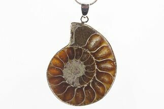 Fossil Ammonite Pendant - Million Years Old #306403