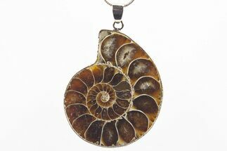 Fossil Ammonite Pendant - Million Years Old #306404