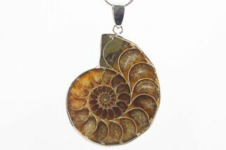 Fossil Ammonite Pendant - Million Years Old #306413