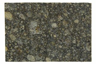 Aba Panu Chondrite Meteorite ( g) Slice - Witnessed Fall! #307260