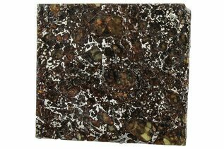 Pallasites For Sale