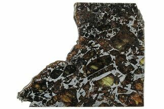 Polished Admire Pallasite Meteorite ( g) Slice - Kansas #307335