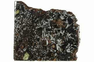 Polished Admire Pallasite Meteorite ( g) Slice - Kansas #307348