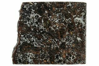 Pallasites For Sale