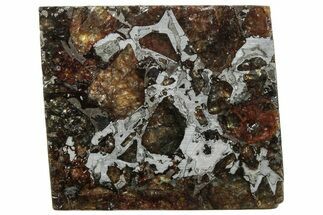 Brahin Pallasite Meteorite ( g) Slice - Belarus #307421