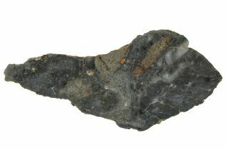 NWA 15482 Meteorites For Sale