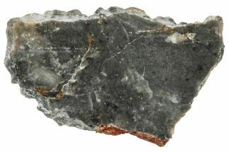 NWA Lunar Meteorite ( g) Slice #307523