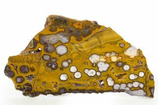 Polished Morgan Hill Poppy Jasper Slab - California #308168