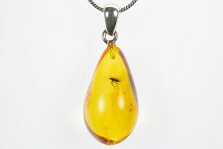 Polished Baltic Amber Pendant (Necklace) - Contains Fly! #307911