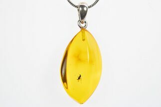 Polished Baltic Amber Pendant (Necklace) - Contains Fly! #307912