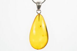 Polished Baltic Amber Pendant (Necklace) - Contains Two Flies! #307914