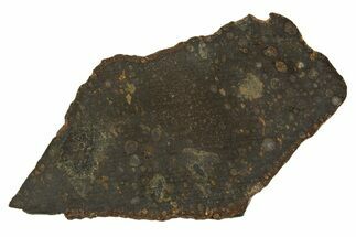 Carbonaceous Chondrite Meteorite ( g) Slice - NWA #308384