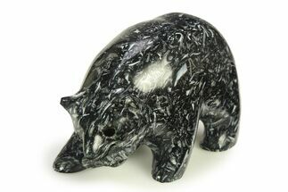 Realistic, Polished Coquina Stone Bear with Fish - California #308423