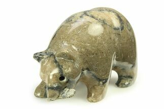 Realistic, Polished Fossil Staghorn Coral Bear with Fish #308427