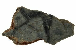 NWA Lunar Meteorite ( g) Slice #307591