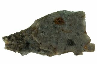 NWA Lunar Meteorite ( g) Slice #307617