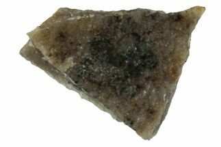 Rare, Lunar Basaltic Breccia Meteorite Fragment - NWA #308454