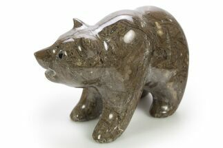 Realistic Polished Coquina Stone Bear - Philippines #308449