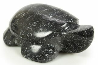 Carved Black Coquina Stone Turtle - California #308608