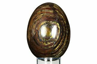 Polished Tiger Iron Stromatolite Egg - Billion Years #308715