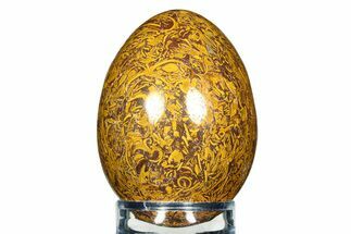 Polished Miriam Stone Egg - India #308735