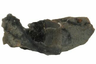 NWA Lunar Meteorite ( g) Section #307655