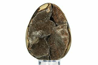 Septarian Dragon Egg Geode - Sparkly Black Crystals #308811