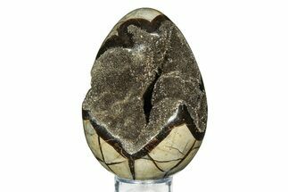 Septarian Dragon Egg Geode - Sparkly Black Crystals #308837