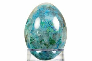 Polished Chrysocolla & Malachite Egg - South Africa #308847