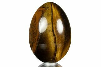 Polished Tiger's Eye Egg #308973