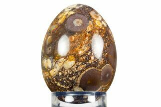 Polished Bird's Eye Jasper (Rhyolite) Egg - Mexico #308871