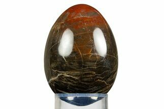 Colorful Polished Petrified Wood Egg - Arizona #309032