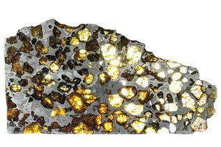 Pallasites For Sale