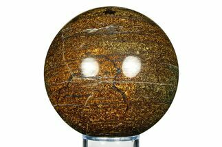 Golden Amphibolite Sphere - Western Australia #309233