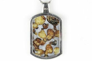 Sericho Pallasite Dog Tag Meteorite Pendant - Kenya #309302