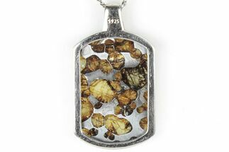 Sericho Pallasite Dog Tag Meteorite Pendant - Kenya #309305