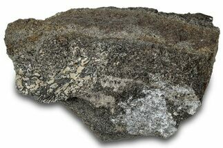 Fossil Dinosaur Bone Section - Bone Cabin Quarry, Wyoming #309252